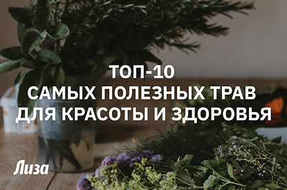 Топ-10 полезных растений для красоты и здоровья