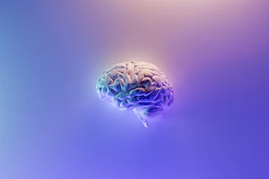 Когнитивные тренировки: 4 типа упражнений для мозга (и почему их важно делать в любом возрасте)