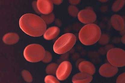 Как поднять гемоглобин в крови: 9 продуктов, которые стоит включить в свой рацион