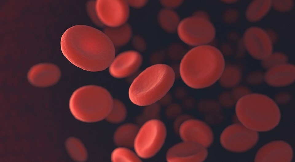 Как поднять гемоглобин в крови: 9 продуктов, которые стоит включить в свой рацион