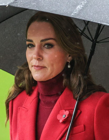 Довел: Кейт Миддлтон в бешенстве из-за мемуаров принца Гарри