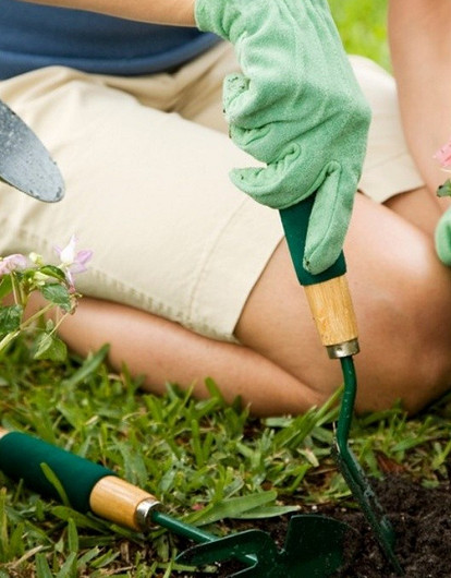 Лунный посевной календарь огородника на 2023: благоприятные и неблагоприятные дни для посадки