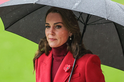 Довел: Кейт Миддлтон в бешенстве из-за мемуаров принца Гарри