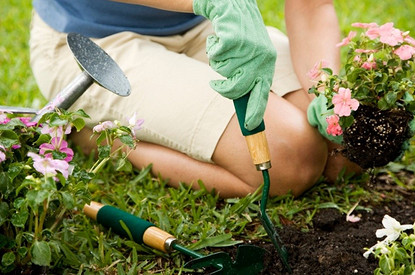 Лунный посевной календарь огородника на 2023: благоприятные и неблагоприятные дни для посадки