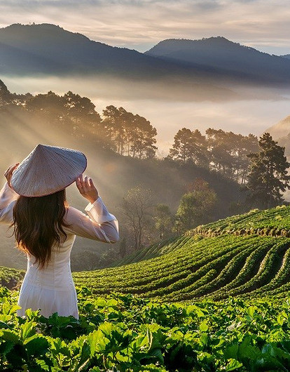 Во Вьетнам на неделю: как добраться, что посмотреть и чем заняться