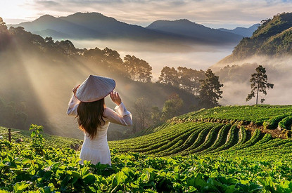 Во Вьетнам на неделю: как добраться, что посмотреть и чем заняться