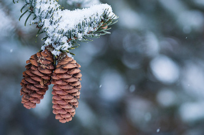 Народные приметы на февраль 2023 года: интересные советы, пережившие столетия