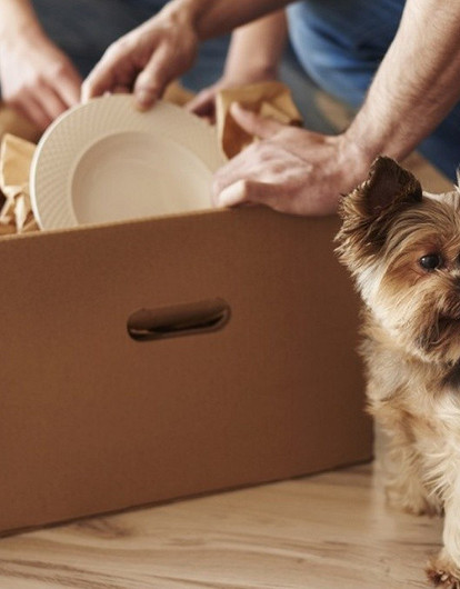 4 вещи с бабушкиного чердака, которые могут стать антикварной находкой (и как отличить рухлядь от антиквариата)