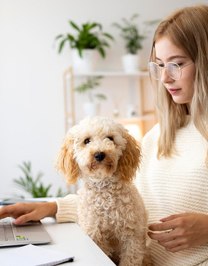 Мой первенец: 7 пород, которые подойдут для тех, у кого никогда не было собаки