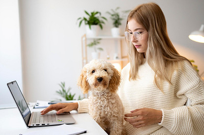 Мой первенец: 7 пород, которые подойдут для тех, у кого никогда не было собаки