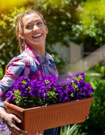 Когда и как лучше сеять петунию на рассаду, чтобы наслаждаться пышным цветением