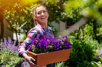 Когда и как лучше сеять петунию на рассаду, чтобы наслаждаться пышным цветением