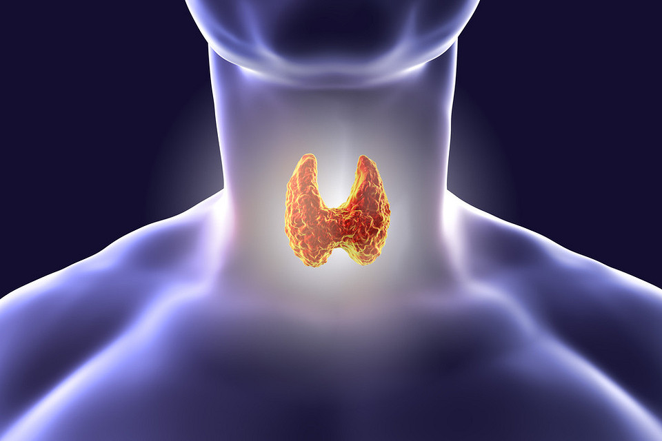 Полноценная жизнь с удаленной щитовидкой: советы от эксперта
