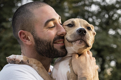 Без жены можно, без пса — нельзя: мужчина через суд добился встреч с дочерью-собакой