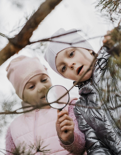 Куда поехать с детьми в России: 20+ мест, которые познакомят с природой и редкими животными