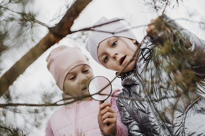 Куда поехать с детьми в России: 20+ мест, которые познакомят с природой и редкими животными