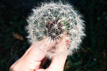 Аллергия: откуда она берется, как избежать и можно ли избавиться навсегда