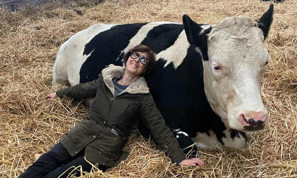 Коровы против стресса: в Великобритании появился необычный способ борьбы с тревожностью