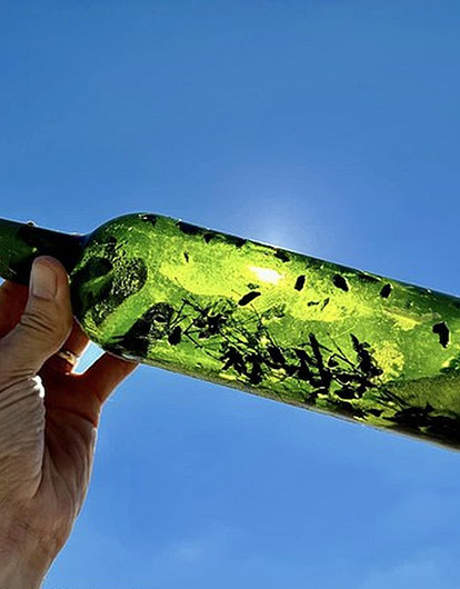 «Ведьмины бутылки» на берегу Мексиканского залива кошмарят местных жителей