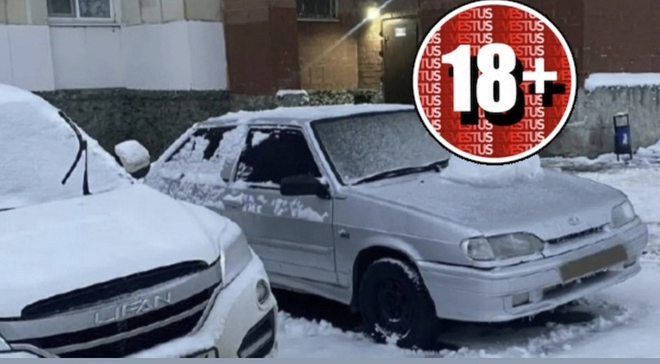 В Екатеринбурге думают привлечь полицейских к борьбе с фаллосами из снега