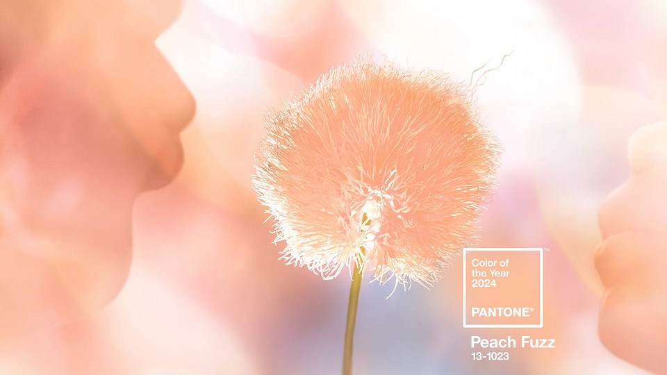 Персиковый пух: с чем сочетать главный цвет 2024 года по версии Pantone