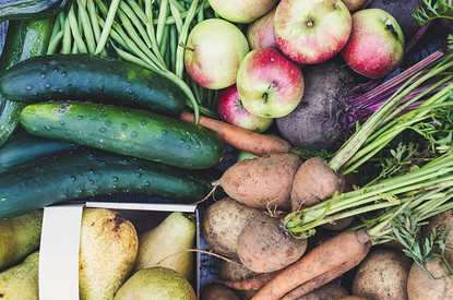 Что такое гмо-продукты и можно ли их есть