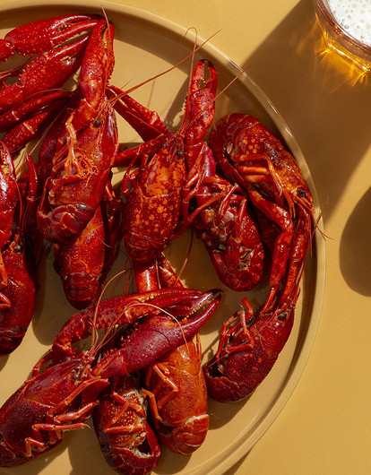 Как правильно есть раков: инструкция для неопытных