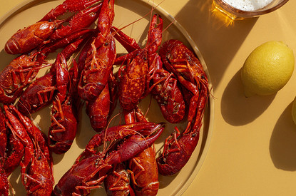 Как правильно есть раков: инструкция для неопытных