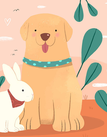 Четвероногие друзья: какие домашние животные хорошо уживаются вместе