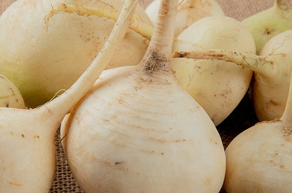 Польза редьки для организма и кому ее есть нельзя