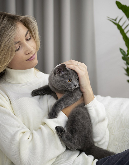 Ученые: владельцы котов больше других подвержены шизофрении