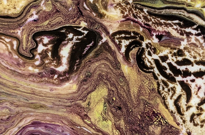 Как вписать в гардероб леопарда и зебру и не выглядеть городской сумасшедшей (подсказывает стилист)