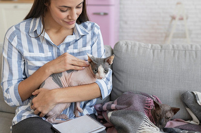 Самые ласковые и добрые кошки: 8 пород с описанием характера