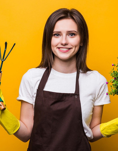 5 самых распространенных ошибок при озеленении дачного участка