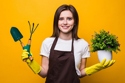 5 самых распространенных ошибок при озеленении дачного участка