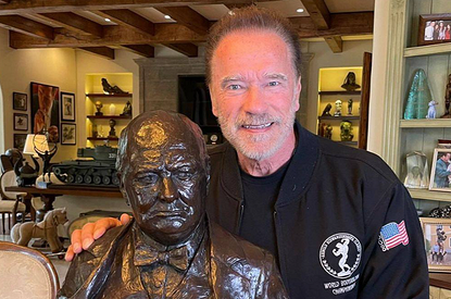 Арнольд Шварценеггер сбил велосипедистку