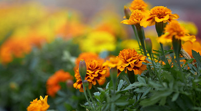 Апрель - самое подходящее время