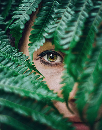 Заметки натуралиста: как растительные ингредиенты заменяют химические аналоги в бьюти-средствах