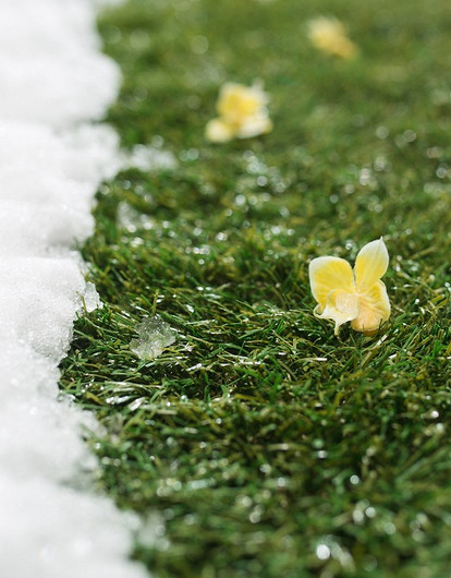Весна — новое начало: гороскоп для всех знаков зодиака с 27 марта до 2 апреля
