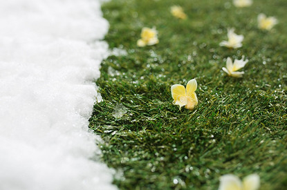 Весна — новое начало: гороскоп для всех знаков зодиака с 27 марта до 2 апреля