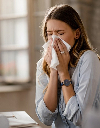 Чихать я хотела: 6 комнатных растений, которые могут вызывать аллергию