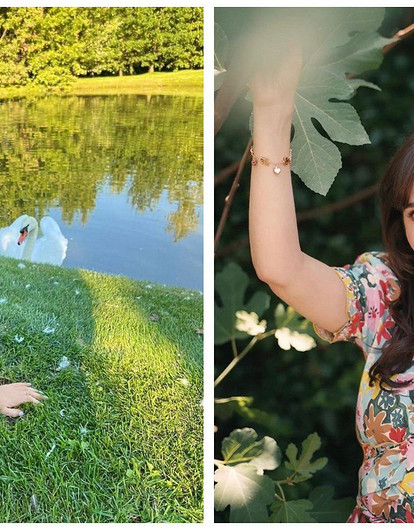 7 звезд, которые спасли животных от верной смерти