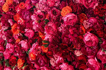 К чему снятся цветы: толкование по сонникам Фрейда, Лоффа, Ванги и другим