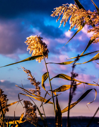 Лунный гороскоп для всех знаков зодиака с 3 по 9 апреля