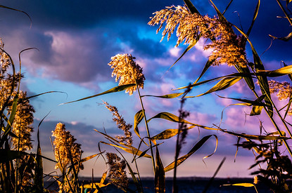 Лунный гороскоп для всех знаков зодиака с 3 по 9 апреля
