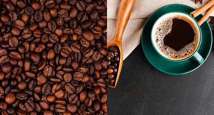 Какие сорта кофе бывают: гид по самым вкусным
