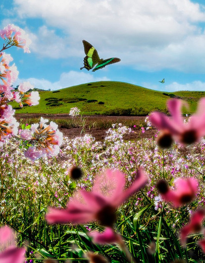 Гороскоп для всех знаков зодиака с 24 по 30 апреля: рекомендации астролога