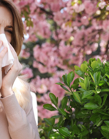 АСИТ-терапия при аллергии: что это такое и можно ли победить болезнь одним уколом