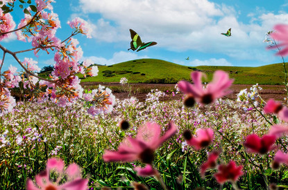 Гороскоп для всех знаков зодиака с 24 по 30 апреля: рекомендации астролога