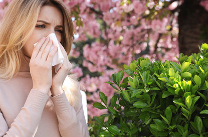 АСИТ-терапия при аллергии: что это такое и можно ли победить болезнь одним уколом